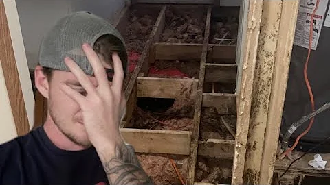 Renters Destroyed My House. Renovation Time!