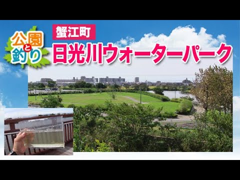蟹江町 日光川ウォーターパーク 公園と釣り その4 Youtube