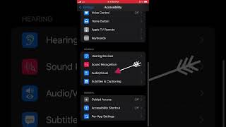 Increase Audio in iPhone problem solve & #bgmi mic glitch screenshot 1