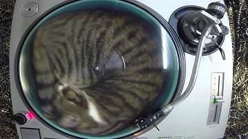 ATP Recordings Sampler  - Side Pyewacket - JC Flowers - Proletarieterette