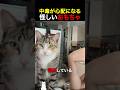 中毒が心配になる怪しいおもちゃ