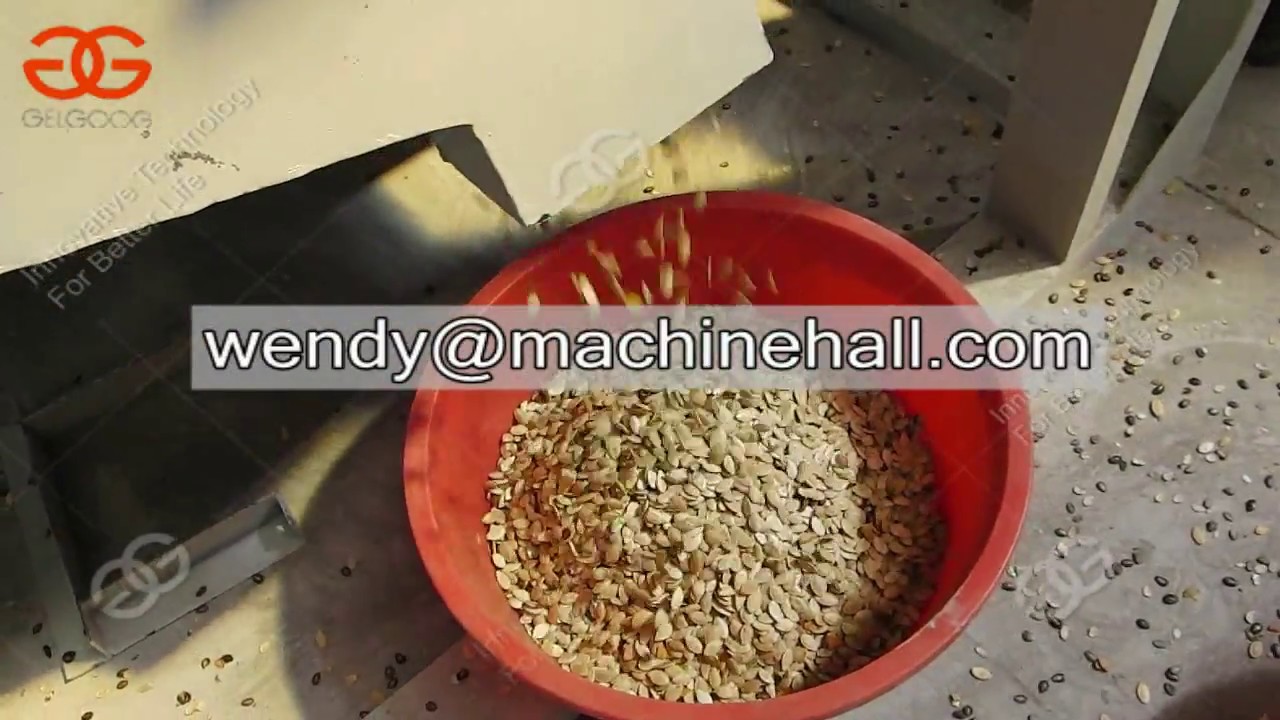 Automatic Egusi Seed Shelling Machine for sale YouTube