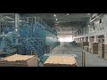 Raute smart plywood manufacturing process