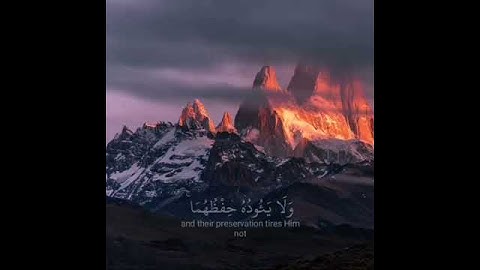 القارئ عبدالله الموسى 🎧 آيات قرآن ⚡ أجمل حالات واتس اب دينية مقاطع دينية قصيرة مقاطع انستقرام دينية