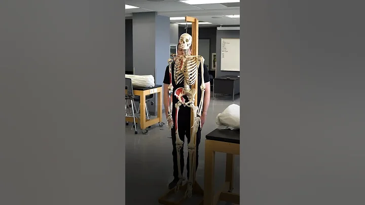 What REALLY Happens When You Donate Your Body to Science thumbnail