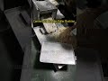 Master the Art of Noodle Making with Taizy's Noodles Roller Machine! #noodles