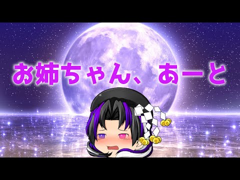 【tiktokネタ】お姉ちゃんあーと　※生声注意
