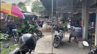 Suasana pasar burung lumajang‼️sangat ramai orang