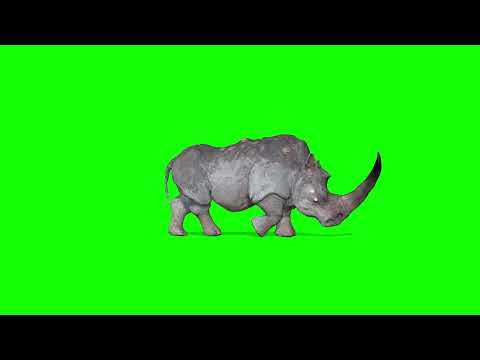 RHINO | RHINOCEROS | GREEN SCREEN | 3D | VFX | 4K | HD | FREE DOWNLOAD | THE BEST REEL