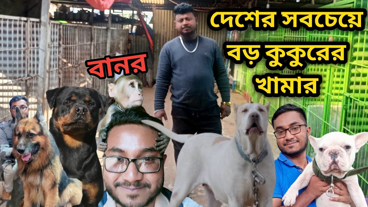 German Shepherd dog Rottweiler dog German Spitz puppy Dog price in