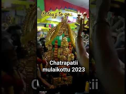 🎺🥁🔥chatrapatti mulaikottu #2023  #rahulbrothers  #commingsoon #chatrapattinorthstreet #chatrapati