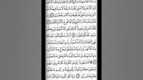صفحة 11 القارئ الشيخ محمد صديق المنشاوي