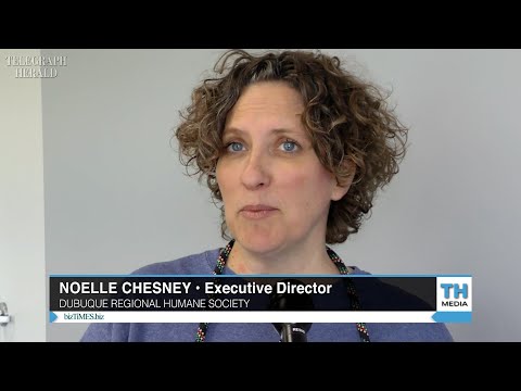 Meet a Local Leader: Noelle Chesney