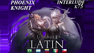 L2Latin.com x75 - Olympiad Phoenix Knight INTERLUDE