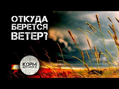 Откуда берется ветер?