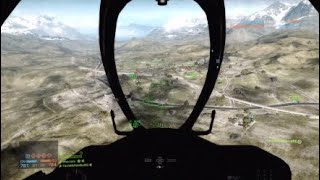 Halo Brrt