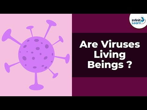 Video: De ce virușii nu trăiesc?