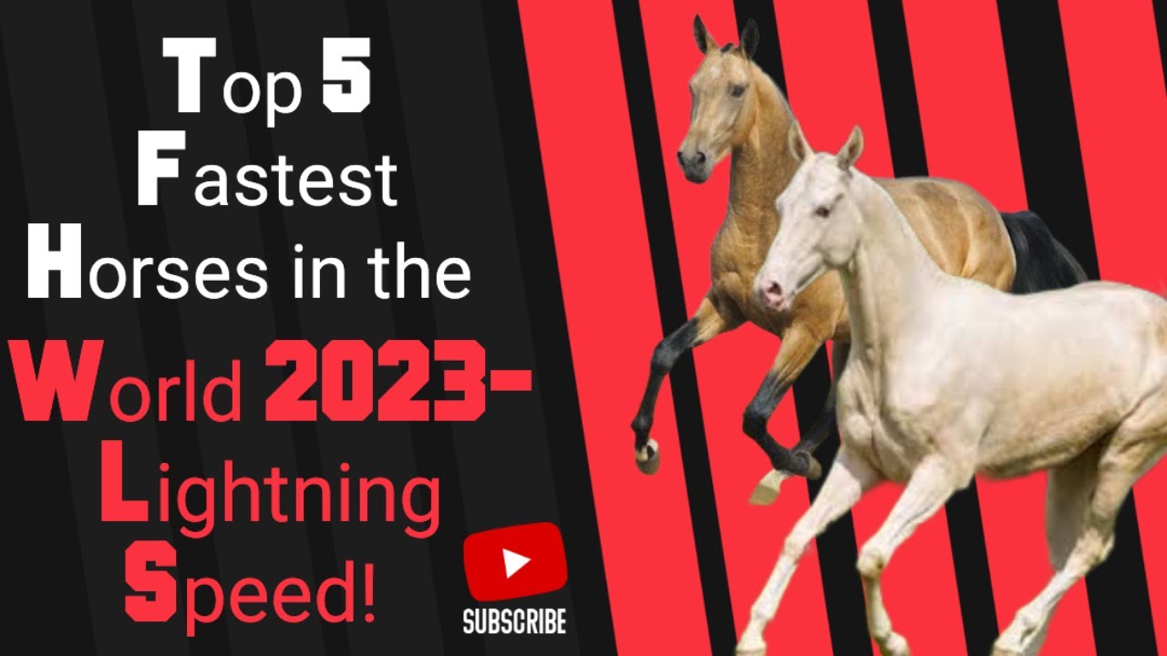 Top 5 Fastest Horses in the World 2023 Lightning Speed#fastesthorse# ...