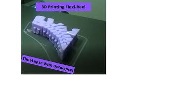 3D Printing Flexi-Rex Timelapse!