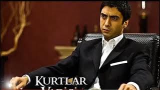 Kurtlar Vadisi İstanbul Mix 2004