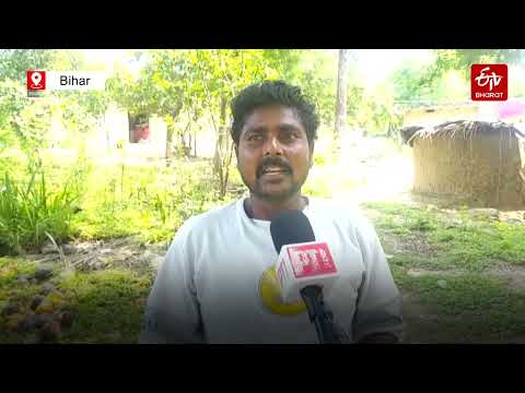 "We Just Want A Bridge" | The Heartbreaking Reality Of School Kids In Gaya, Bihar