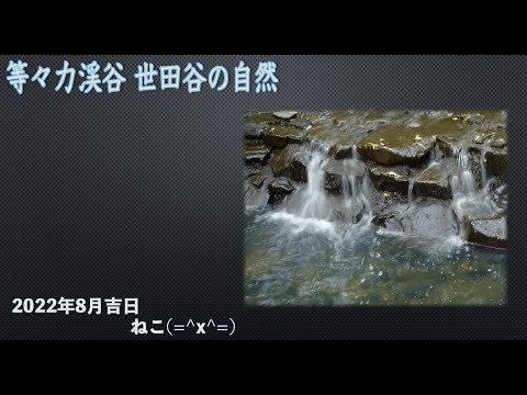 等々力渓谷、世田谷の自然