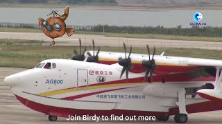 GLOBALink | China's AG600M firefighting aircraft takes off from water