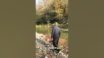 Почему вы одиноки? Ведь вы умны, интересны, привлекательны?