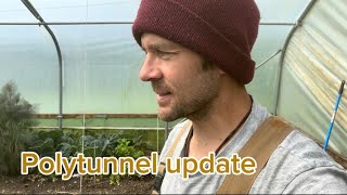 Polytunnel update @Ochorforestgarden 2024