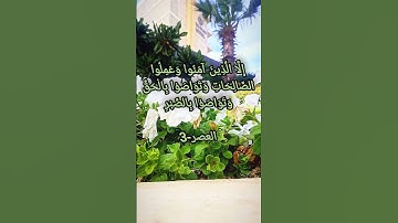 سوره العصر بصوت الشيخ محمد صديق المنشاوي مجود