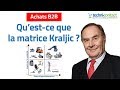 Matrice de kraljic  comment  elle optimise votre stratgie achats