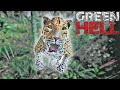 Hello There - Episode 1 | Green Hell