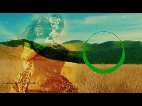 ახალი ულამაზესი სიმღერა ¦ ოთო ნუცუბიძე   აღსარება ¦ Oto Nucubidze   Aghsareba