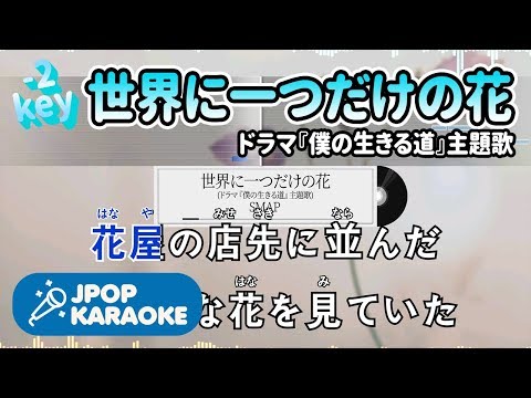 [歌詞・音程バーカラオケ/練習用] SMAP - 世界に一つだけの花(ドラマ『僕の生きる道』主題歌) 【原曲キー(-2)】 ♪ J-POP Karaoke
