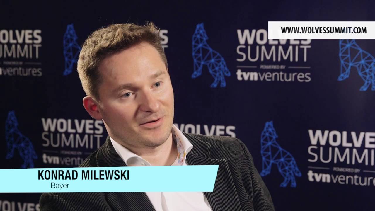 Opinions on Wolves Summit 2016 - corporates
