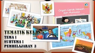 Pembelajaran kelas 5 sd tematik kurikulum 2013 tema 1 organ gerak
hewan dan manusia subtema 3 video lain : manusi...