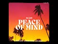 DJ Ace - Peace of Mind Vol 47 (Soulful House Slow Jam Mix)