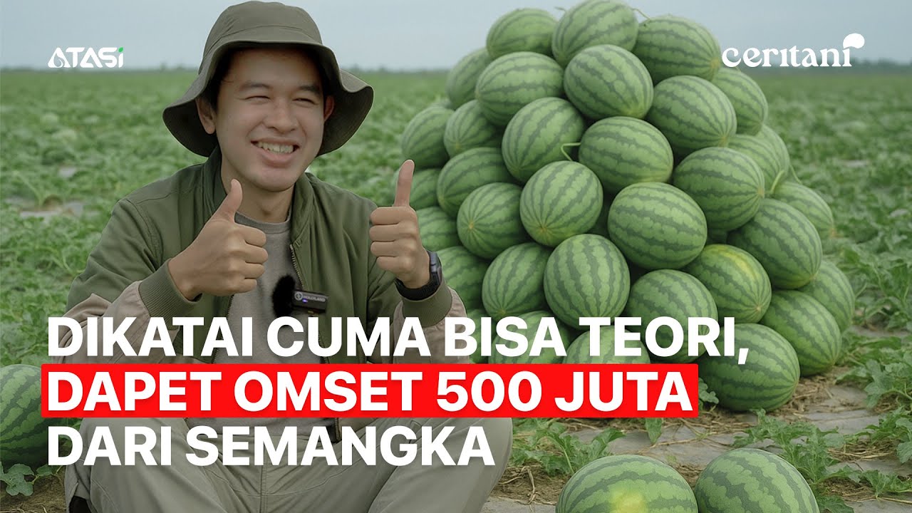 Ceritani | Cerita Dapet Penghasilan 500 Juta Cuma dalam 2 Bulan Berkat Bertani Semangka