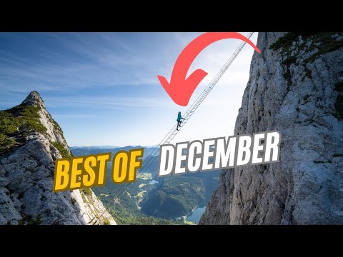 How to Find Fake Egg | Best of December Shorts
