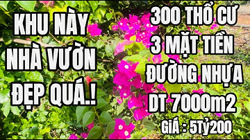 Gồng nợ không nỗi chị gái xót xa bán nhà vườn hơn 7000m vuông ở Châu Đức Bà Rịa Vũng Tàu.