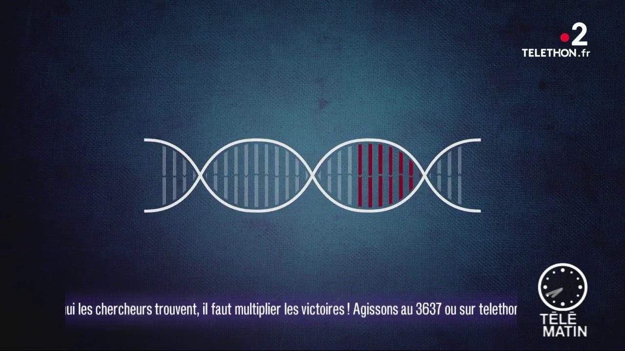 Qu'est-ce que la thérapie génique ? | Téléthon 2019