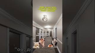 #котымемы #котики #котята #жиза #мем #funny
