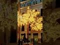 Artificial Tree lights #light #artificial #tree #street #music #happy#shortvideo #shorts