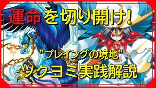 【ヴァンガードZERO】聴かせてやるよ、鷹匠の律動を...【実践解説】