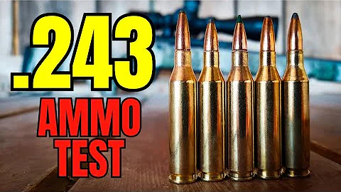 .243 AMMO TEST - Savage AXIS 2 PRO