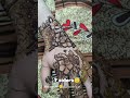 @sayma_mehndi_artist #mehndi