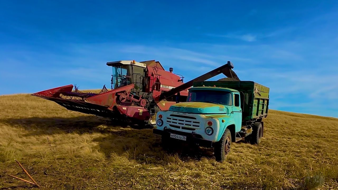 Уборка подсолнечника 2025. Палессе 812
