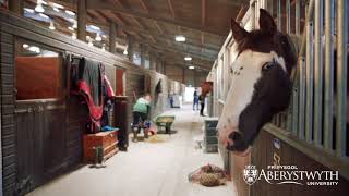 A Tour of Lluest Equine Centre - Aberystwyth University