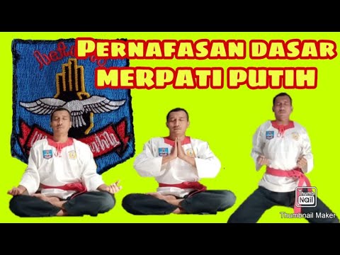 Merpati Putih Pencak Silat Merpati Putih Seni Bela Diri Merpati Putih Tenaga Dalam Merpati Putih Ten. 
