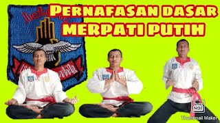 Pernafasan dasar ( garuda ) Merpati putih -Udin PodangTV